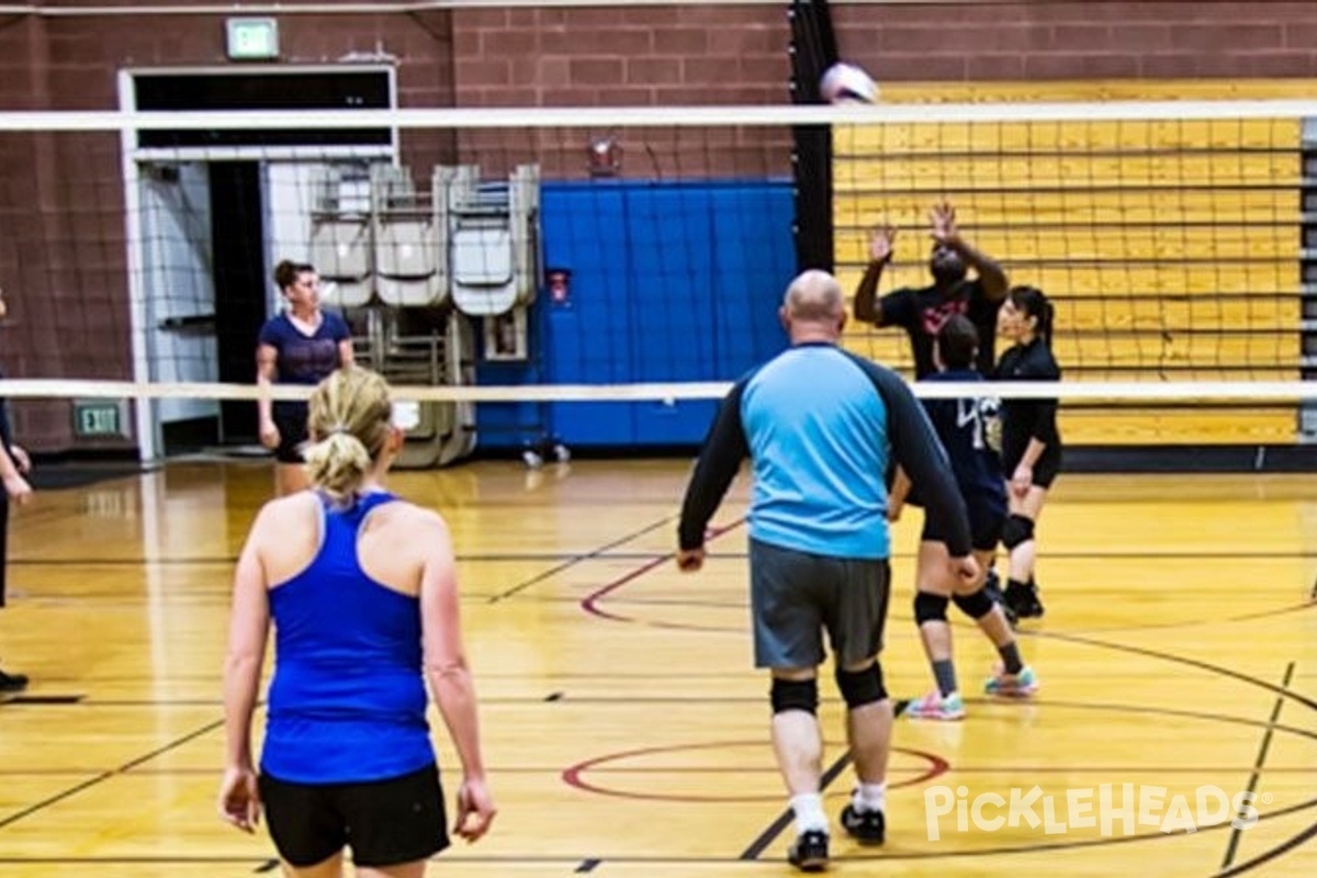 Photo of Pickleball at West Hartford Leisure Services